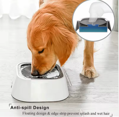 FLOATING BOWL - Anti-Spritz Elspet Wassernapf