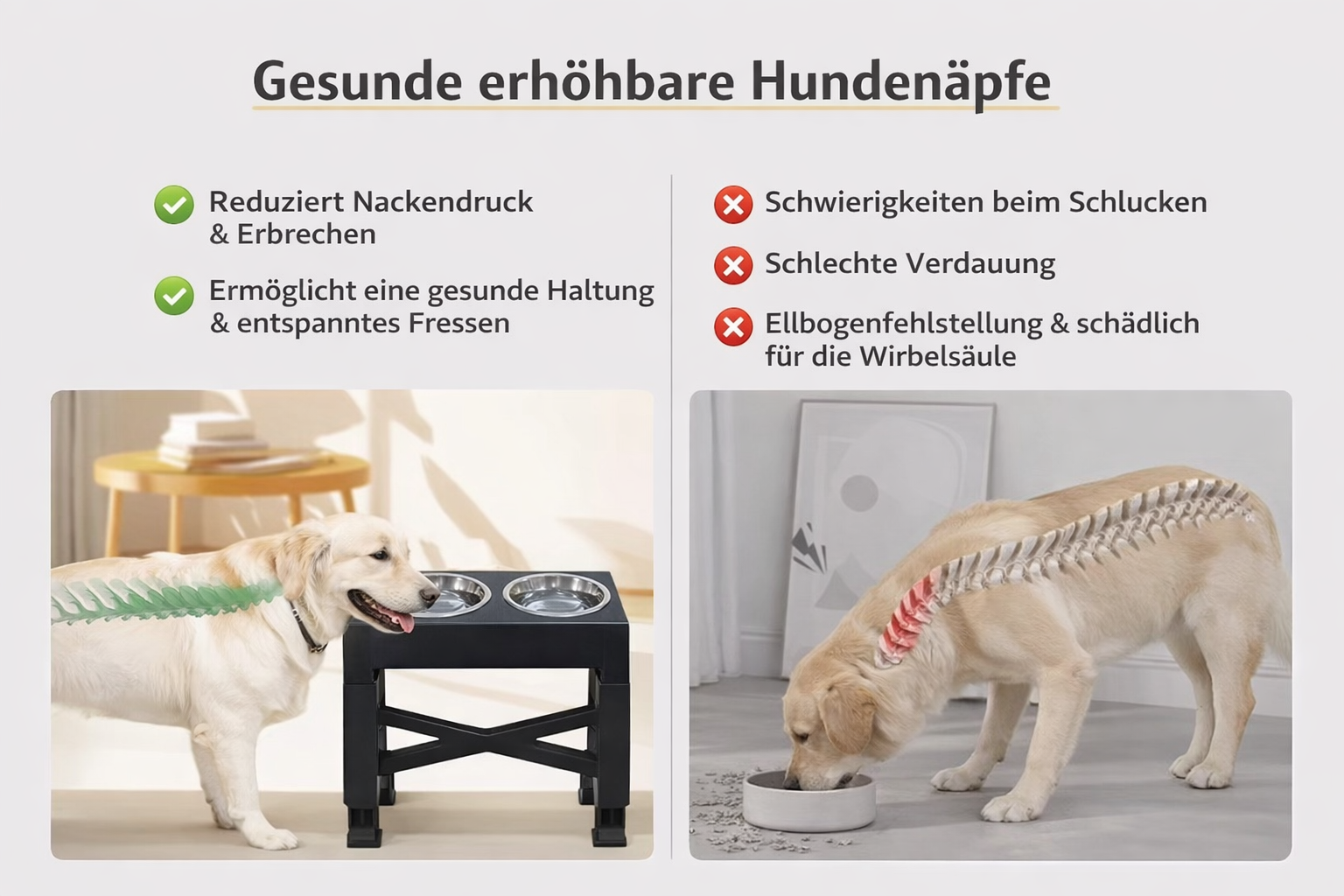 GROWLY Napfkombination Edelstahl