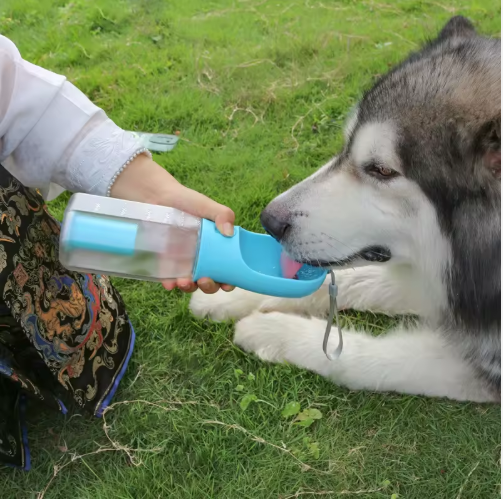 PAWGO 3 in 1 Futterflasche